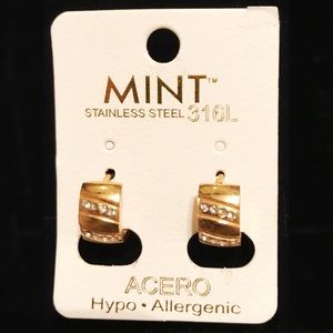 Mint Acero Gold wash Stainless Steel Earrings